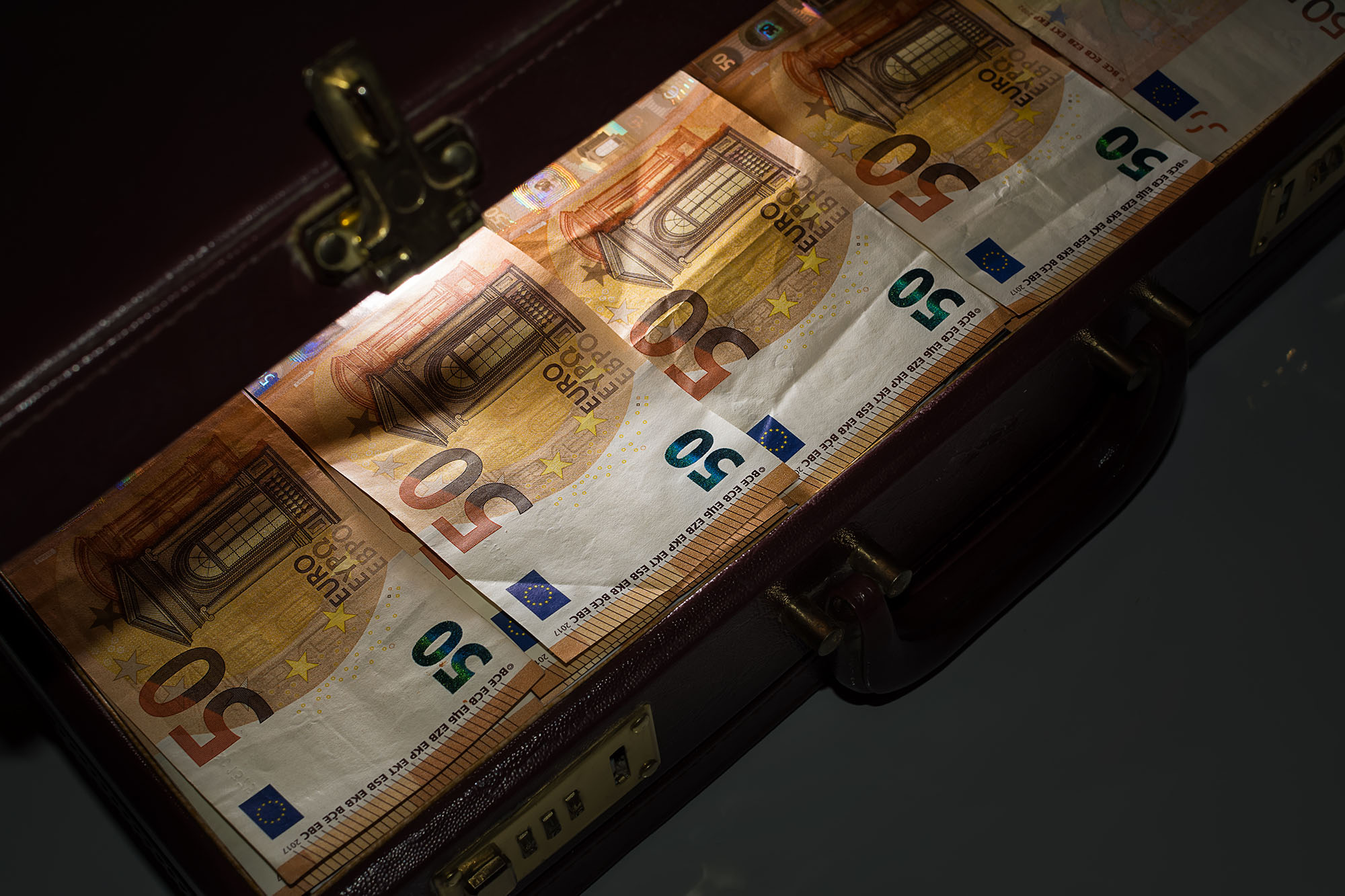 Briefcase with Euros - Angelo D'Amico
