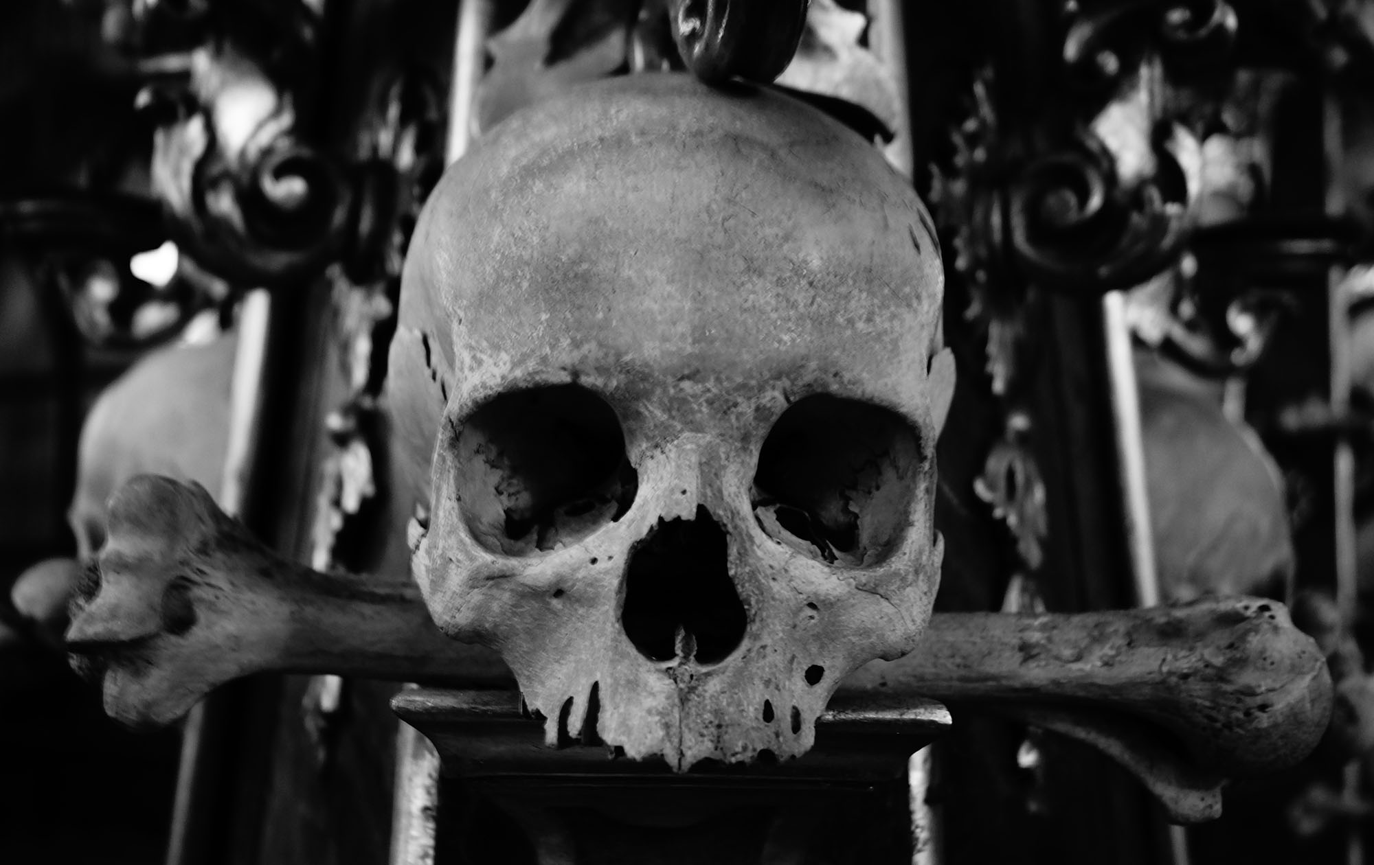 Skulls from the Sedlec Ossuary