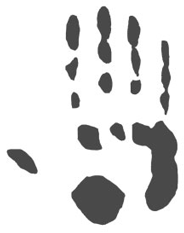 Touch of the Ebon Hand