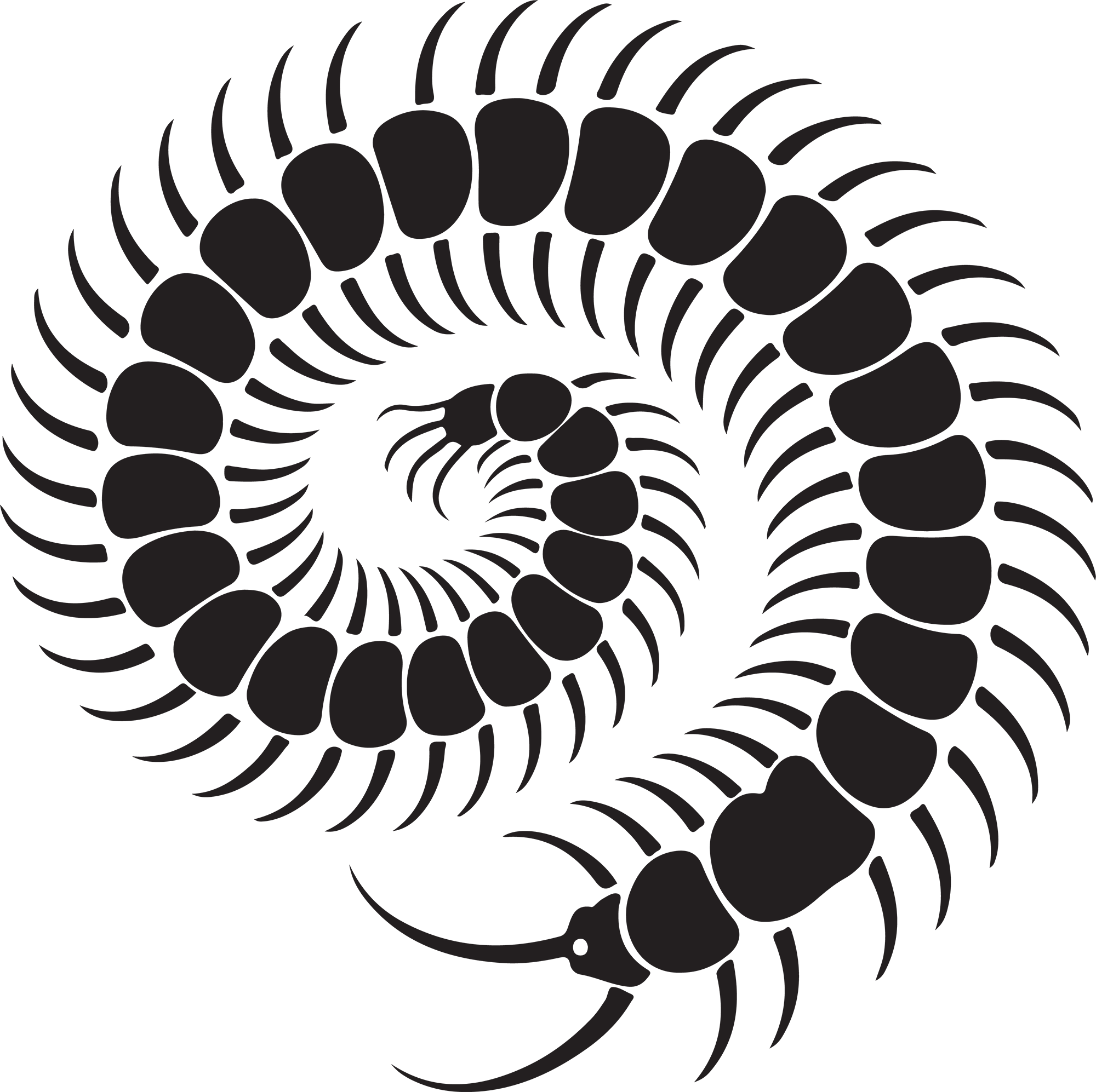 Spiral of the Plagueborn